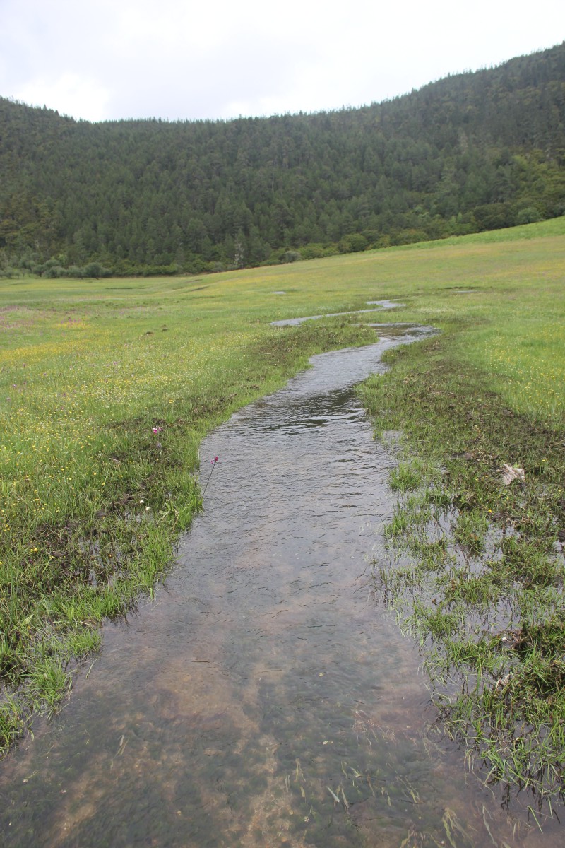 碧塔海